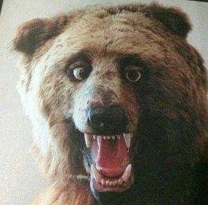 Meet your Posher, Gary